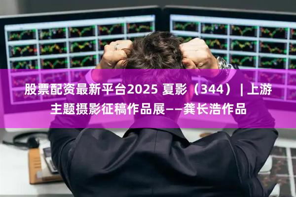 股票配资最新平台2025 夏影（344） | 上游主题摄影征稿作品展——龚长浩作品